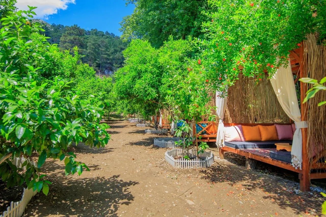 Studio Huzur Inlice Turkije